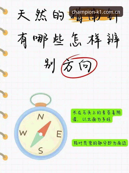 k1体育是否正规 k1体育平台实用鉴别指南:从资质验证到实时数据的完整攻略